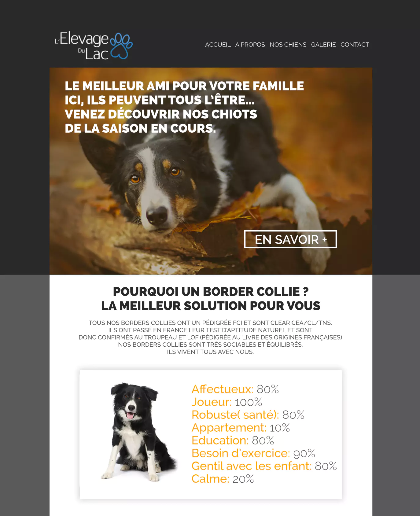 Projet de design